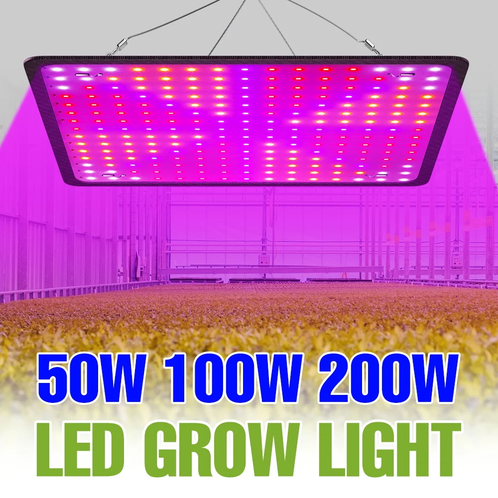 

200W Full Spectrum Grow Light Indoor LED Quantum Board Plant Lamps Greenhouse Tent Fruit Seeds Flower Vegs Cultivation Lighting