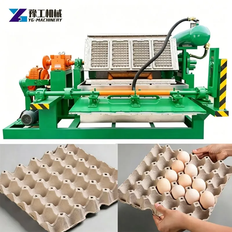 Mini Egg Tray Machine Small Scale Paper Pulp Equipment For Household Small Business Egg Packaging