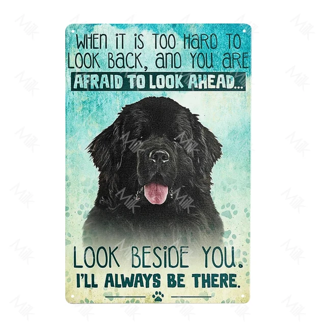 Newfoundland dog items best sale