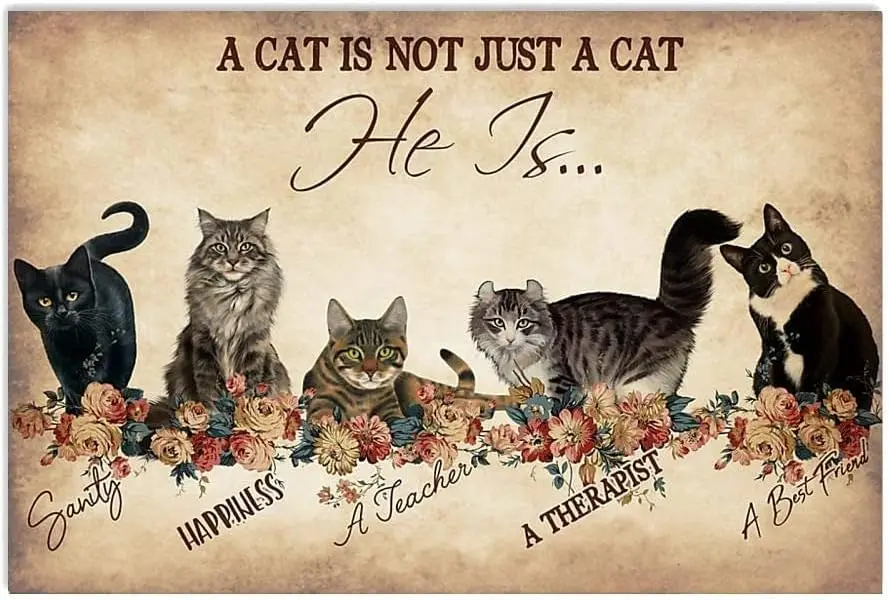 A Cat Is Not Just A Cat, He Is A Gift For Men And Women Posters, Birthday Christmas Decoration Signs, Cave Indoor And Outdoor Wa