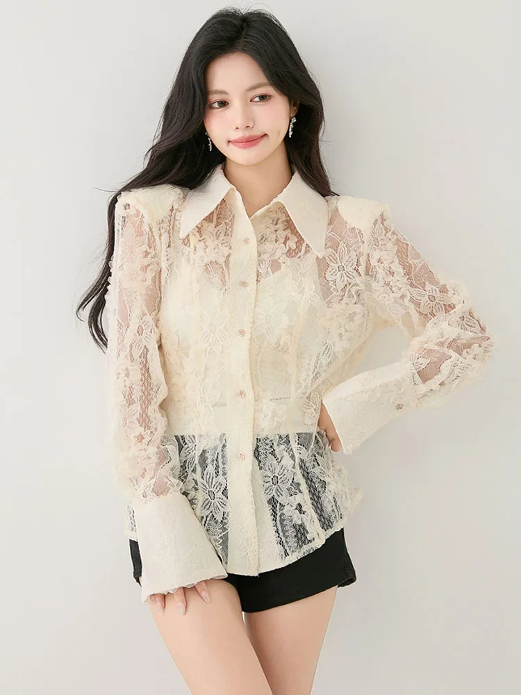 

Womens Sexy Perspective Hollow Out Lace Shirt Tops Vintage Lady Turn Down Collar Long Sleeve Casual Blouses Blusas Mujer De Moda