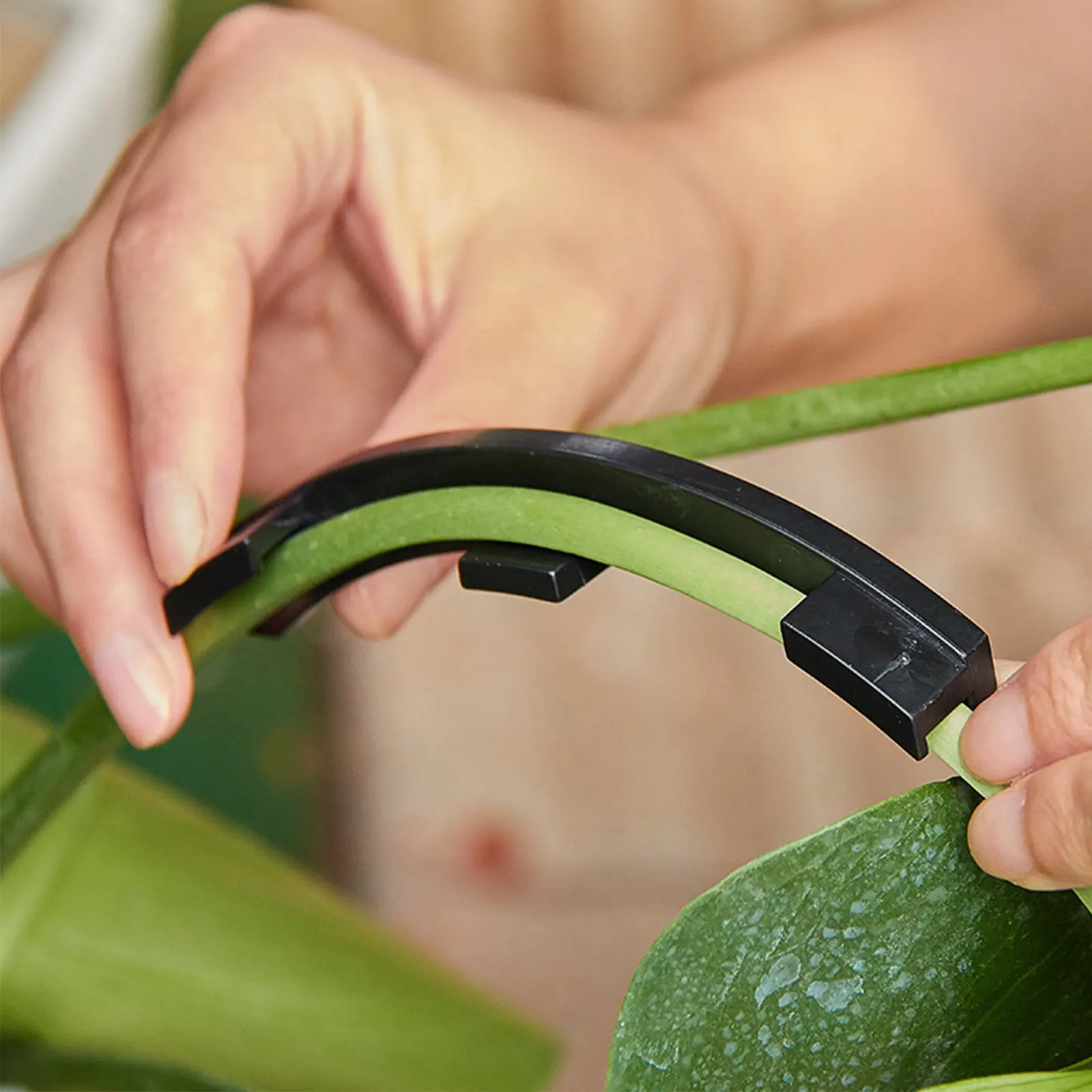 10pcs Plant Bender Clips for Indoor Outdoor Plants Fruit Tree Shaping Gardening Accessories Black Strong Pressure