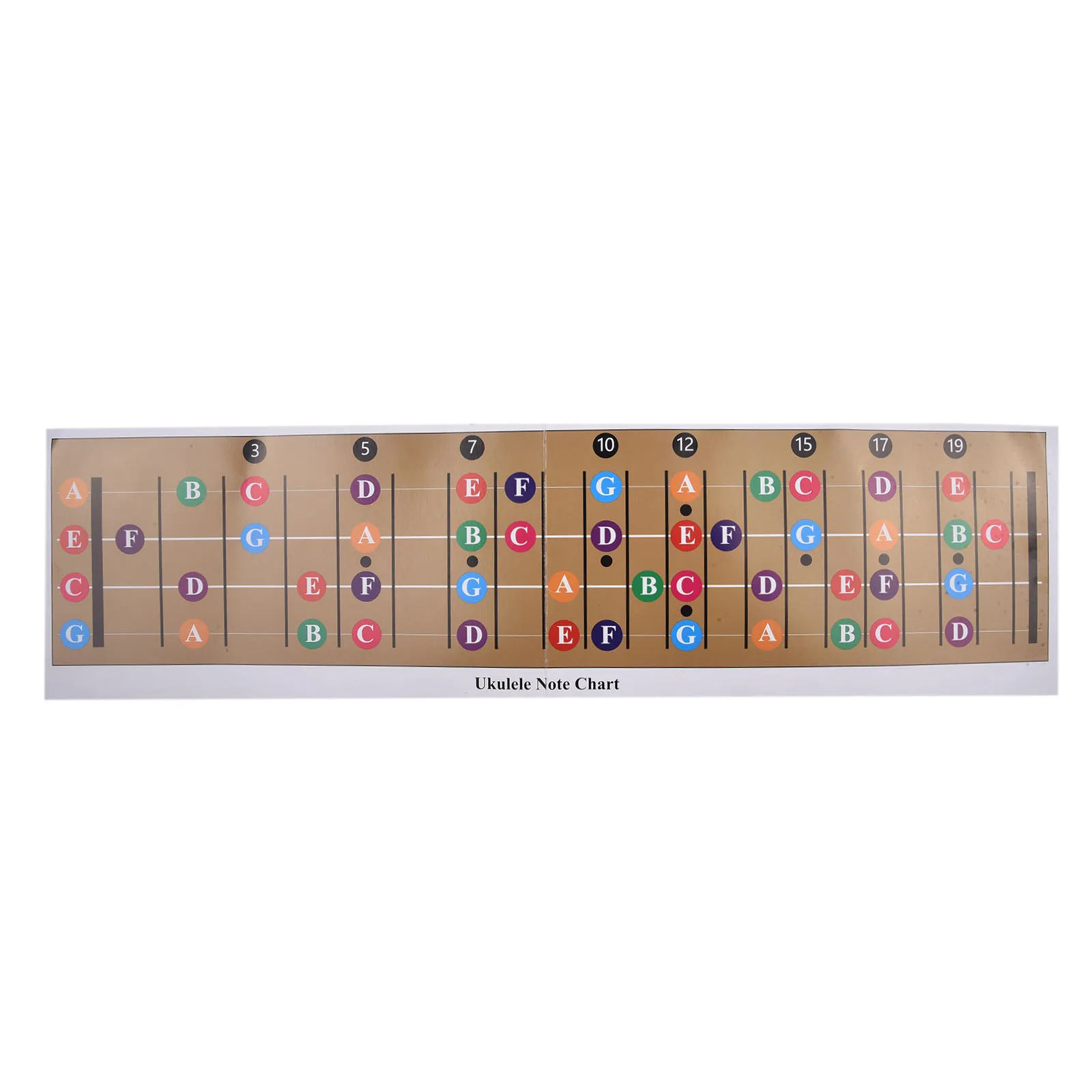 Fretboard Note Chart Ukulele Guitar Guitar Fretboard Note Chart Color Coded Plastic Bags For Ukulele Guitar New