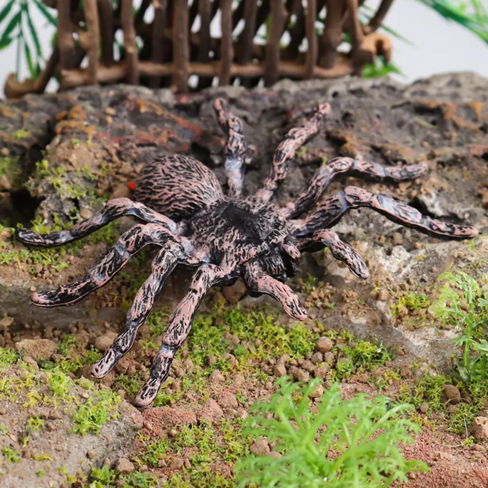 Realistic Spider Ornament Desktop Ornament Halloween Spider Model Ornament Educational Toy for Kids Desktop Garden for Halloween