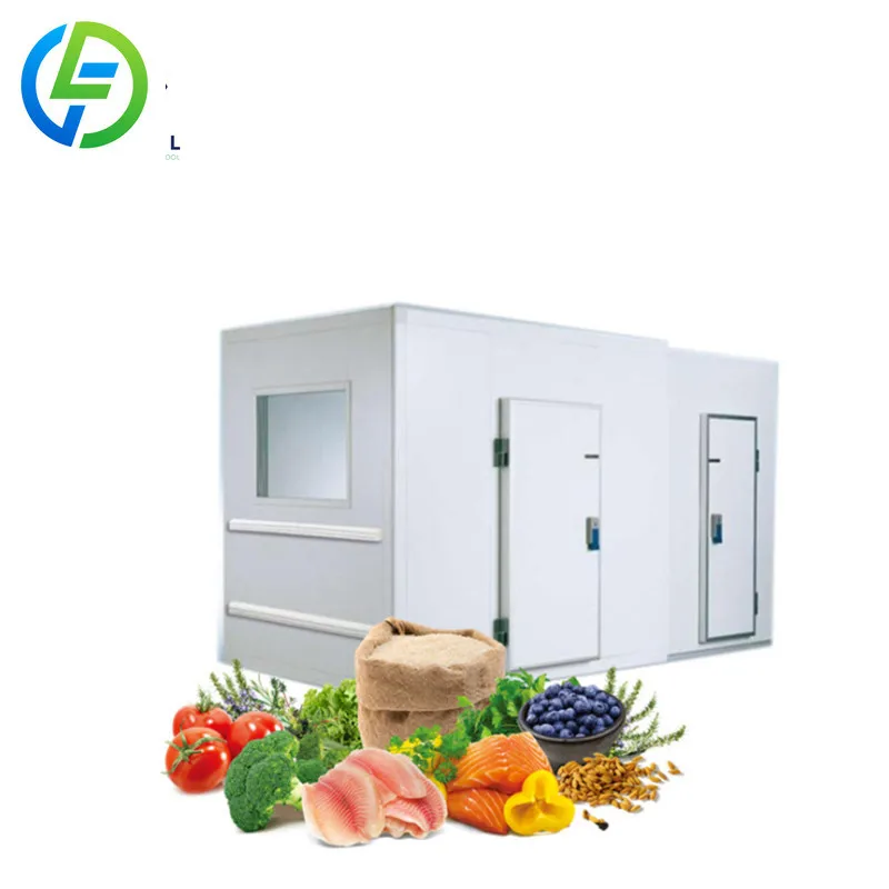 Customized Walk in Cooler and Freezer Industrial Refrigerator Mini Cold Storage Coldroom Small Rooms Commercial Grade System