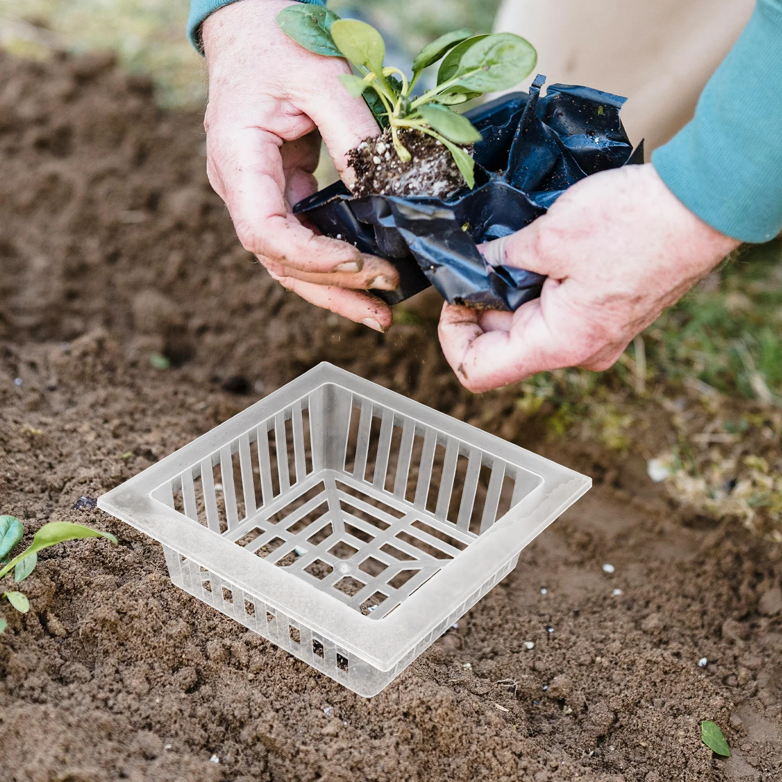 

10 pcs Control Baskets 2.5 Inch Plastic Net Pots For Hydroponics Drainage Holes Cultivation Replacement Grow Baskets