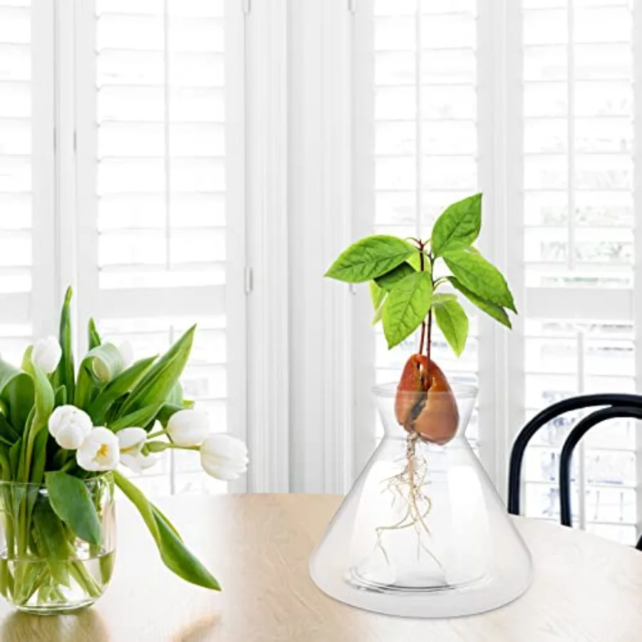 1 PCS Avocado Seed Starter Vases, Pit Planter Pot Avocado Tree Growing Kit Acorn Bulb Vase Grow Glass Blue Hydroponics Containe