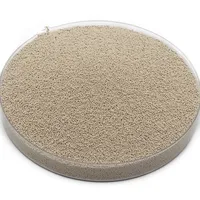 High Purity Oxygen Concentration Sodium Zeolite Molecular Sieve 0.4-0.8mm For Psa Oxygen Generator Manufacturer