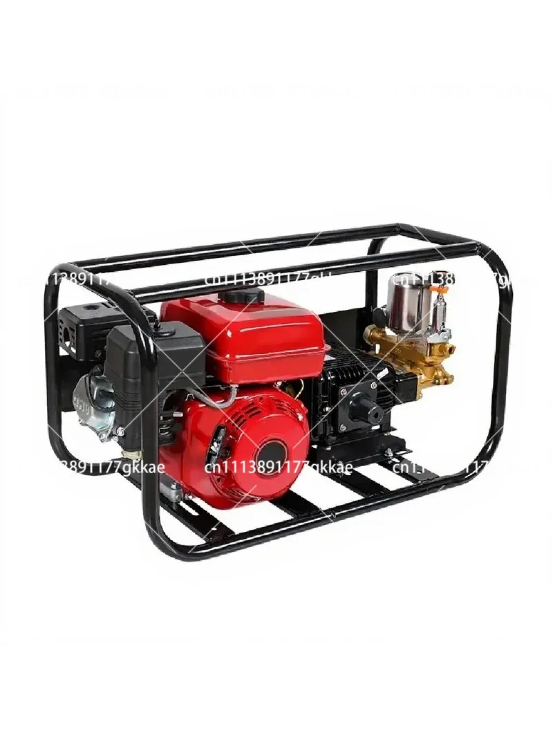 170F Powered High Pressure Sprayer 4 Stroke Agricultural Garden Fruit Tree Plunger Pump