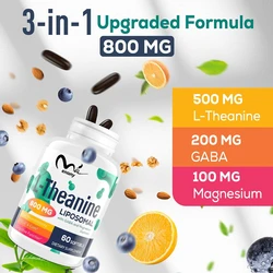Liposome L-theanine 500mg, multivitamin magnesium, relaxation and focus supplement, non GMO and gluten free -60 capsules