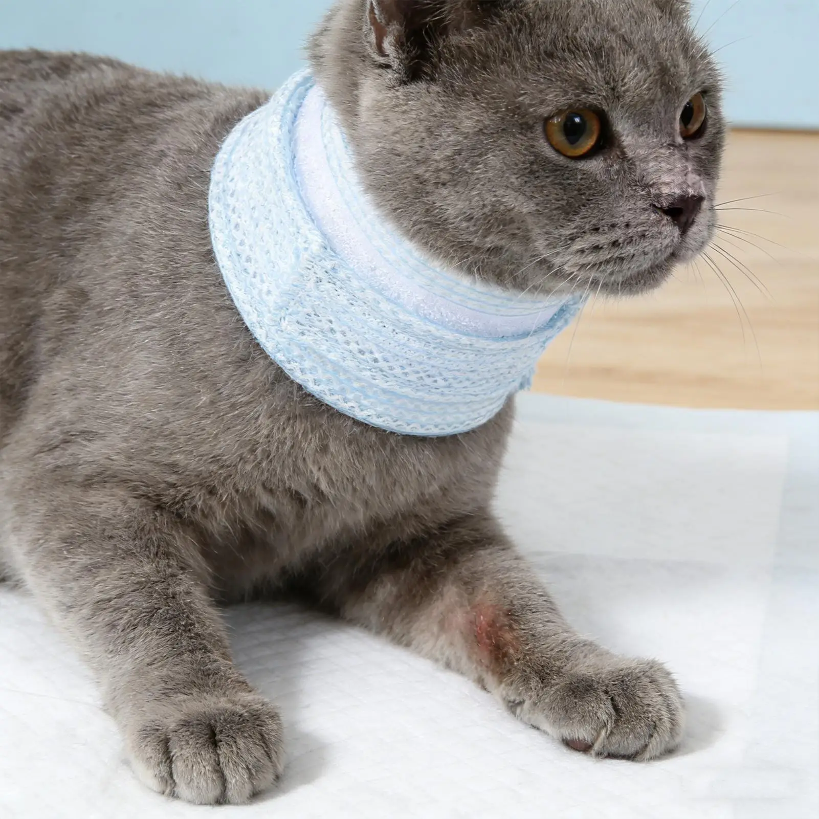Dog Cat Neck Brace Cover Breathable Comfortable Anti-Scratch Pet Neck Protective Collar Adjustable Soft Cushion Cervical Cone