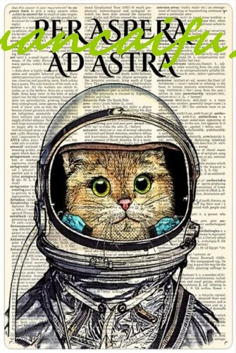 SJKY Retro Metal Tin Sign 8 X 12 Inches Per Aspera Ad Astra Cat Spaceman Poster Mo...