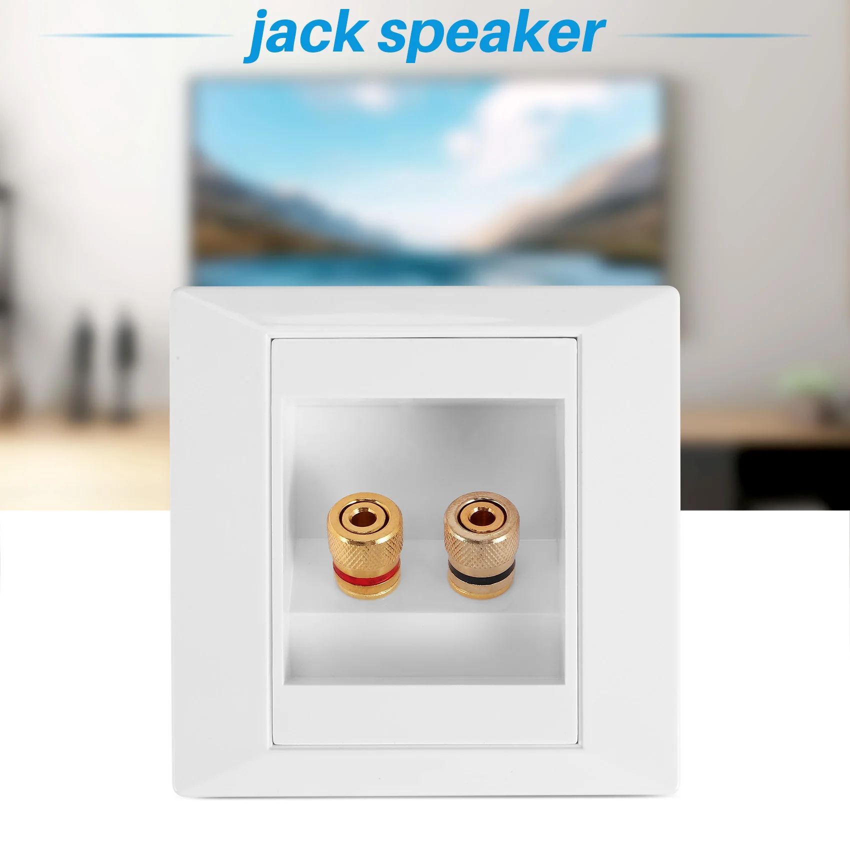 Wall Socket Connection Port with 2 Jack Speaker White