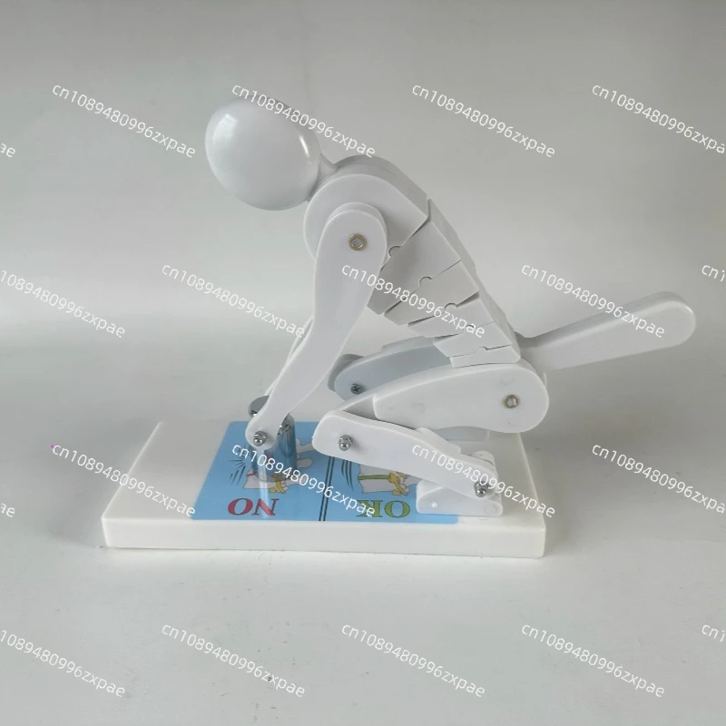 Human body bending over weightlifting spine force demonstration model fitness weight correct posture demonstration