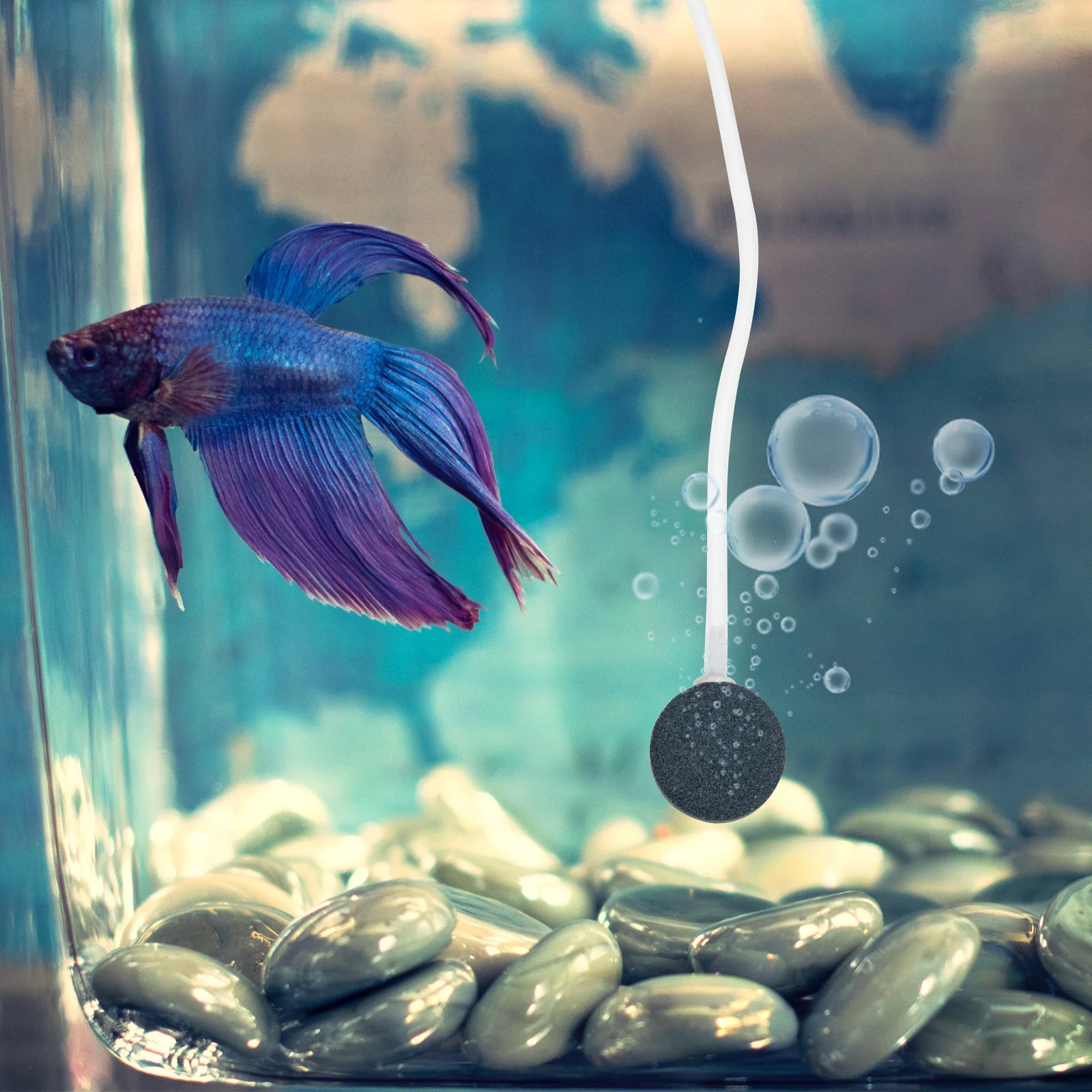 

1Set Solar Oxygen Pump Floating Solar Panel Noise Reduction Hydroponic Pool Aquarium Aerator Fish Tank Oxygenator