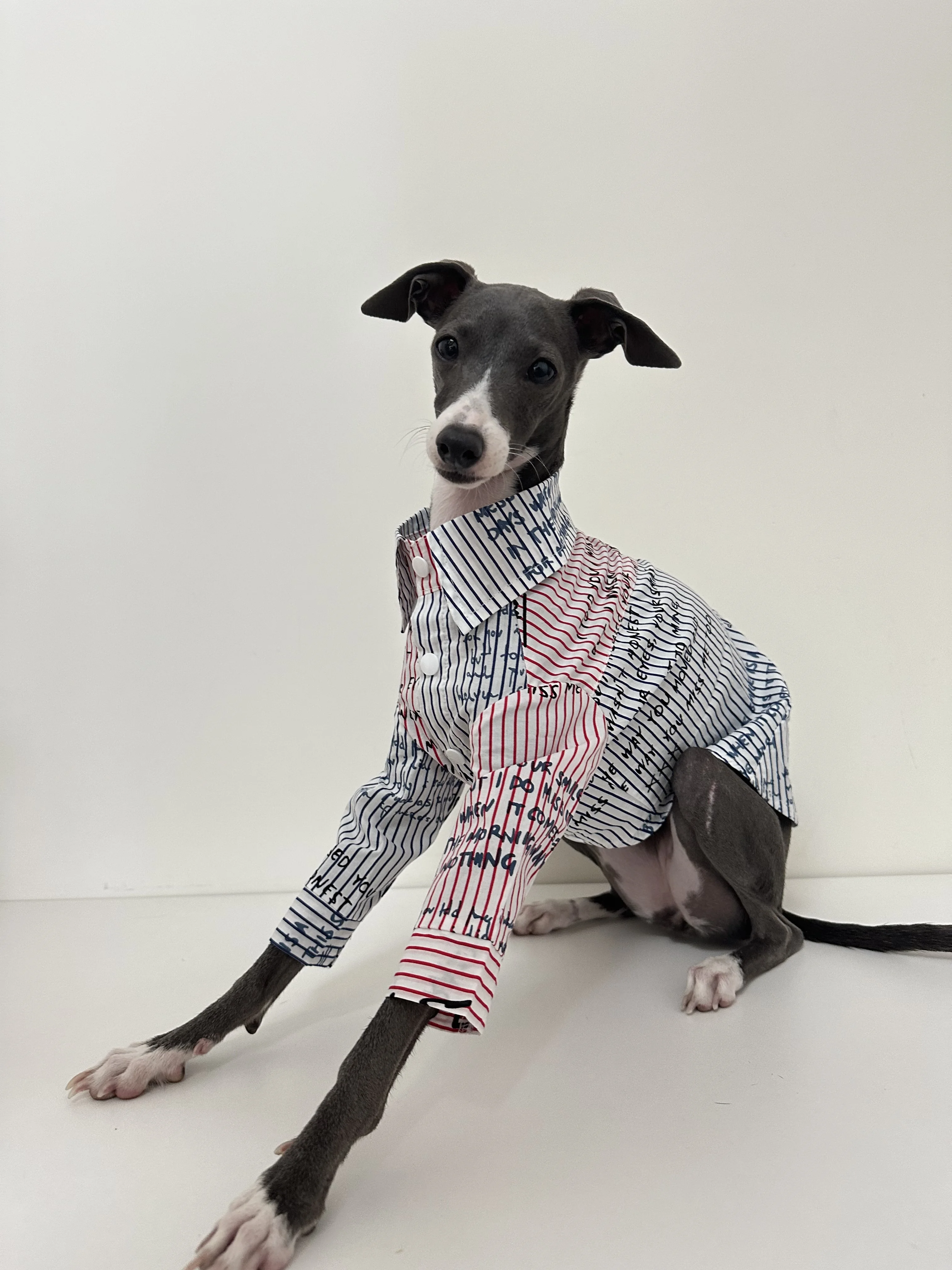 Greyhounds Clothes Spring Summer Breathable Dog Shirt Pure Cotton Whippets Clothes Italian Greyhounds Shirt Pet Supplies