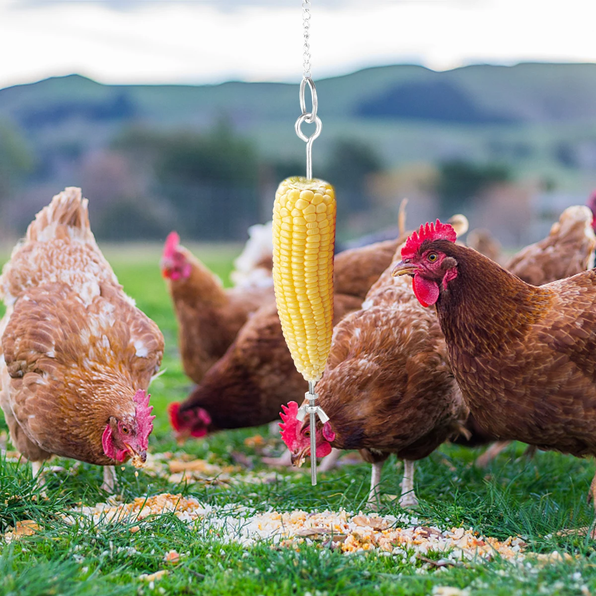 

Hanging Feeder Cage Chicken Hen Pet Vegetable Hanger Fruit Bird Veggies Skewer Adjustable Poles Durable Safe Toys Gifts Feeding