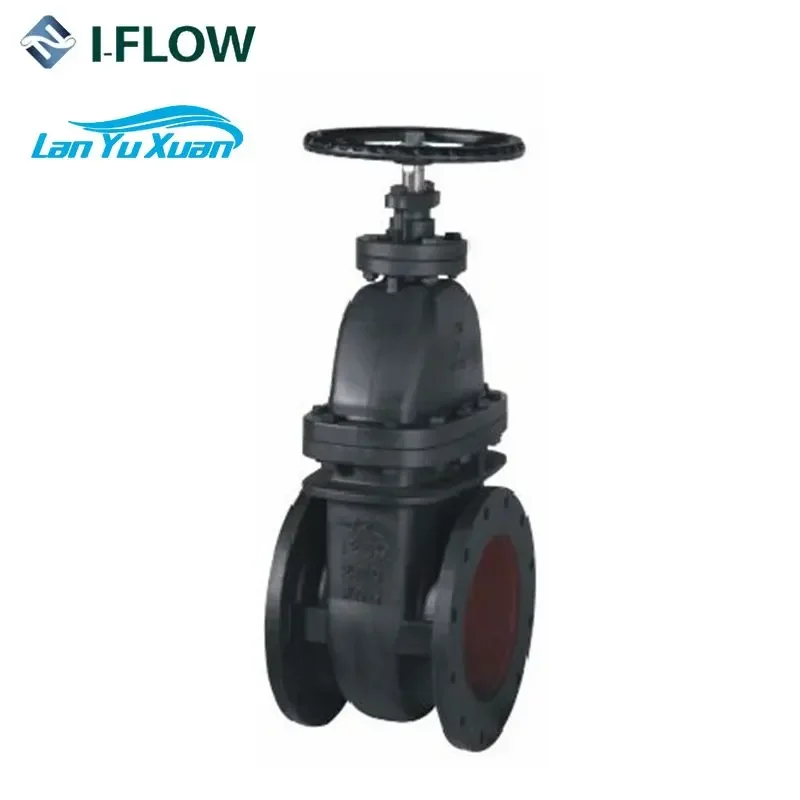 MSS SP-70 CLASS 250 NRS صمام بوابة حديدية مصبوب صمام صيني مباشرة #5