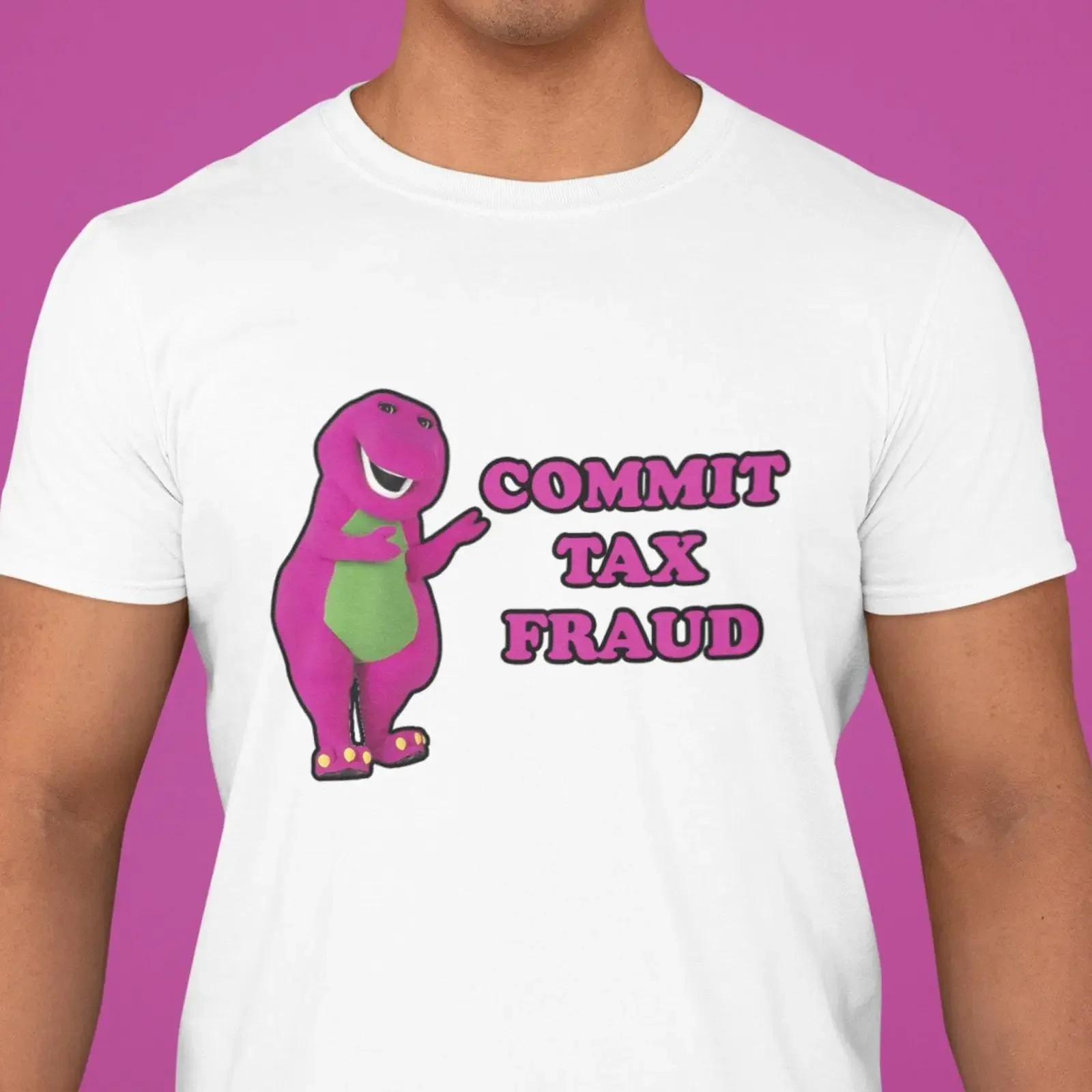 T-shirt humoristique « Commettez la fraude fiscale » pour femmes, plusieurs couleurs, t-shirts Meme, sarcatiques, vintage, effet délavé, extensibles, respirants, imprimés
