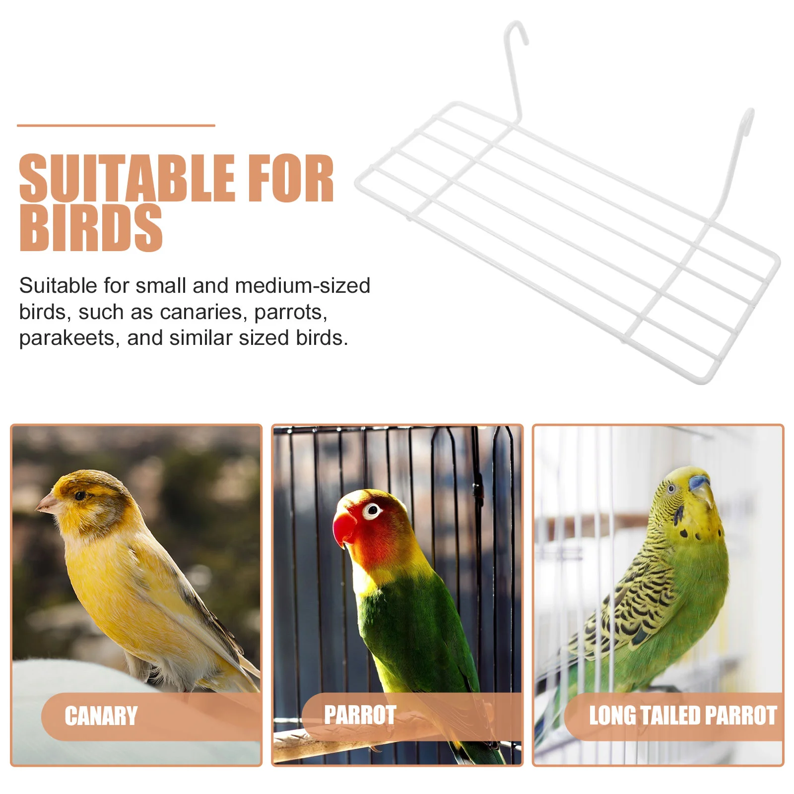 2 Pcs Bird Cage Wall Platform Parrot Playground Perch Shelf Accessories Supply Accessory Resting Stand Metal