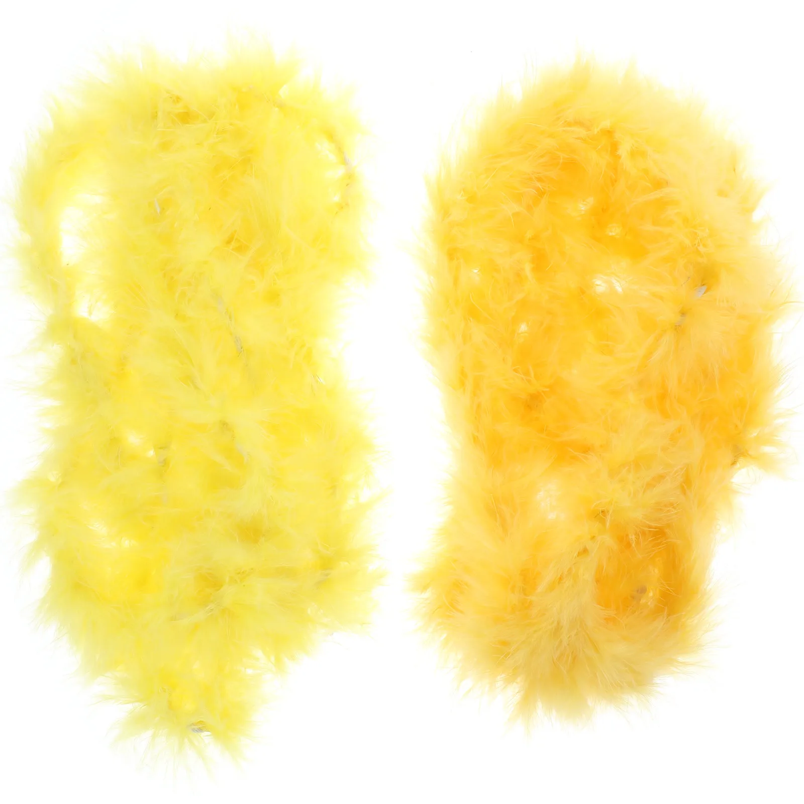 2Pcs Turkey Plume B…