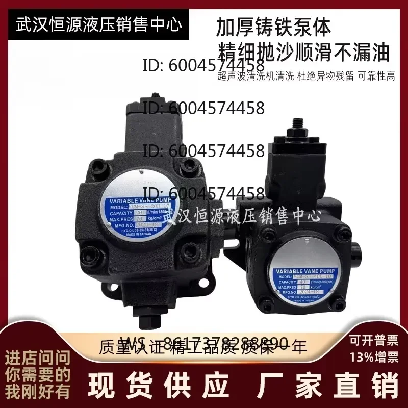 1pcs CML vane pump VCM-SF-12A-10 12D 20D 30D 40D 12B molding machine oil pump