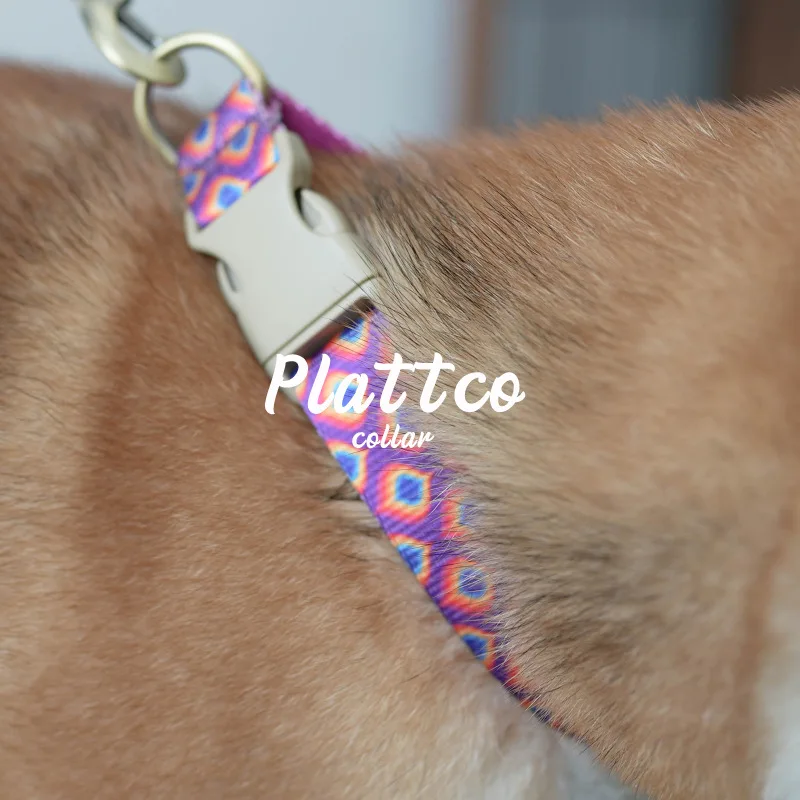 PLATTCO Manufacturers Custom Colorful Heat Transfer Pet With Leash Adjustable Dog Collar Rainbow Gem PDC362