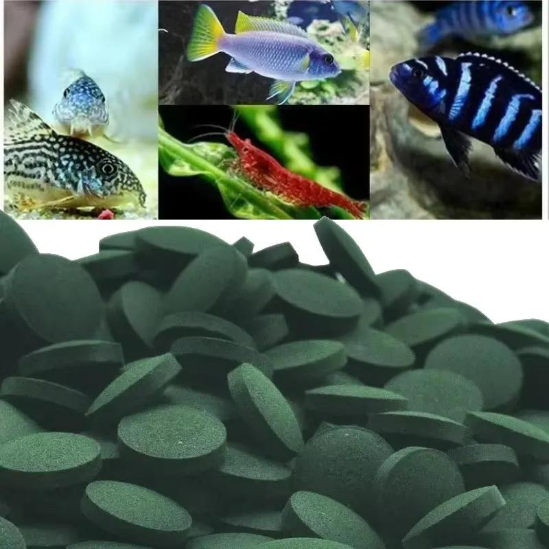 50–1500 Stück Spirulina-konzentrierte Fische, Lieblings-Haustierfutter, Spirulina-Tabletten, Anreicherung, Lieblings-Haustierfutter, Fisch, Kristall, rote Garnelen