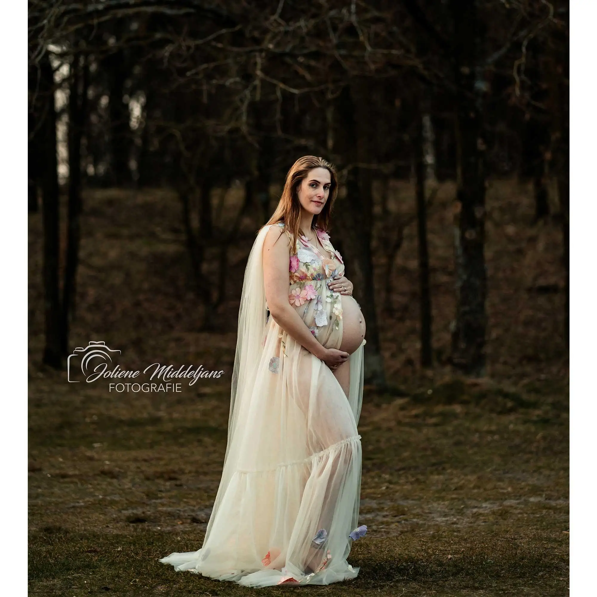 

Don&Judy Pregnant Women's 3D Flowers Spaghetti Straps Prom Dress A-line Customized Gown Dress Tulle for Photo Shoots
