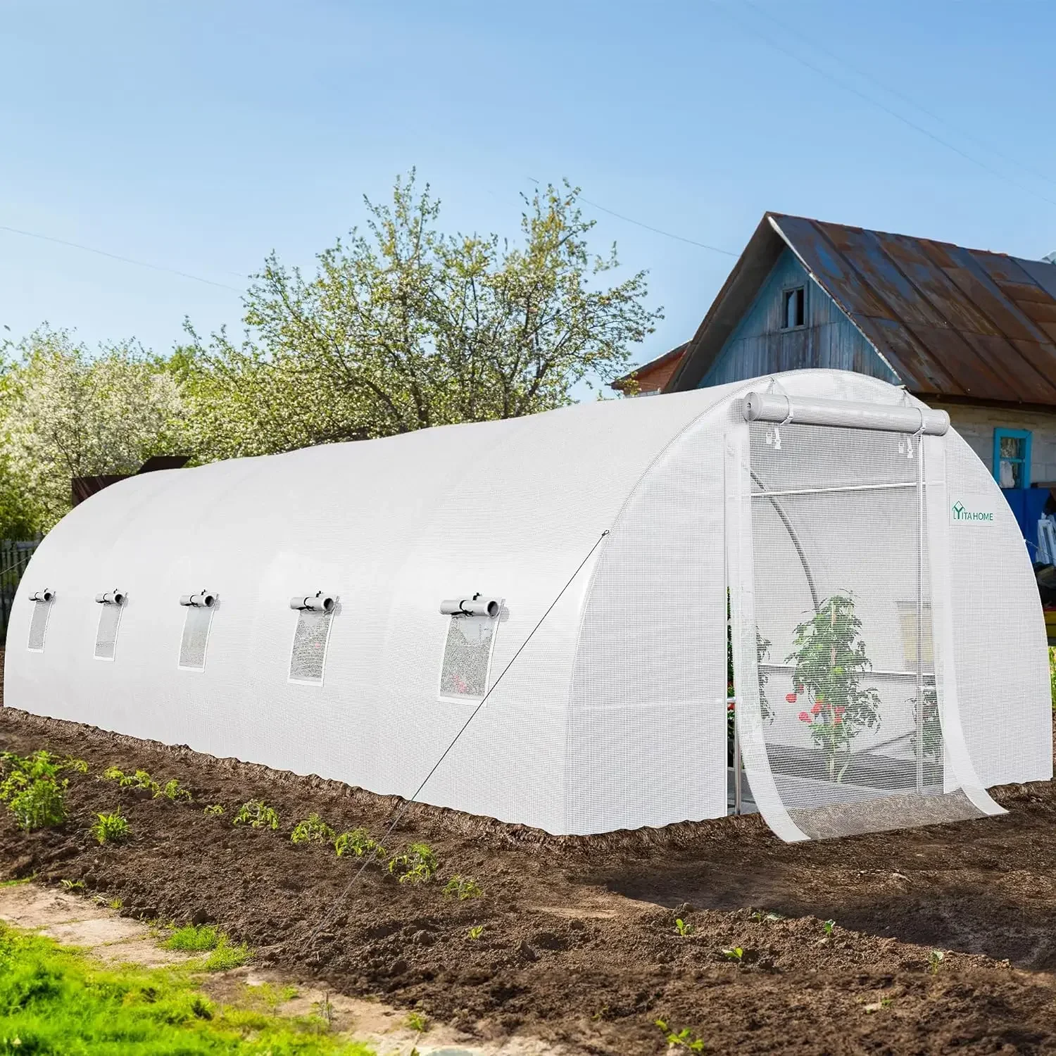 #For 26'x10'x6.5' Greenhouses Heavy Duty Large Greenhouses Walk in Green Houses Tunnel Green House Outdoor Gardening Upgraded&