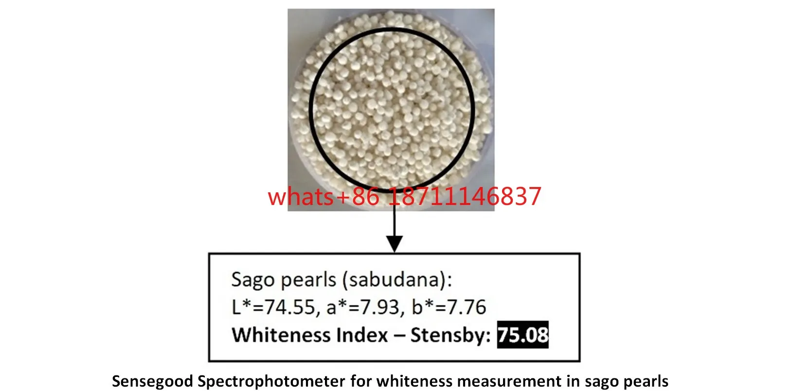 High Quality  Sago Whiteness Meter Tester for Whiteness Measurement & Quality Control in Sago Pearls Sabudana Color Measurement