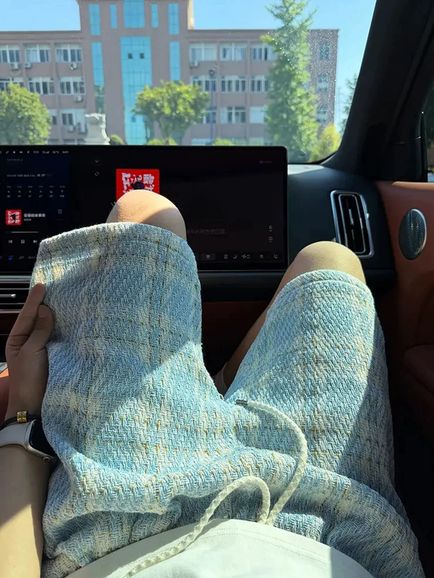 

Blue And White Plaid Knitted Shorts for Men Summer Beachwear Outdoor Sports Straight Leg Five-Quarter Length Couples Pants