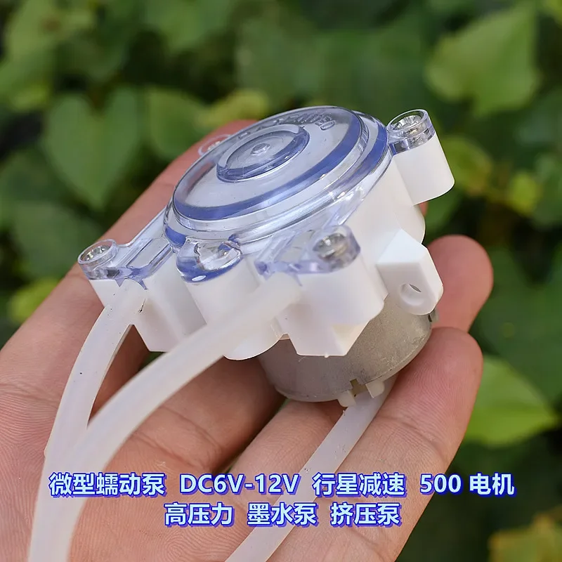 Miniature peristaltic pump DC6V-12V planetary reducer 500 motor, high pressure