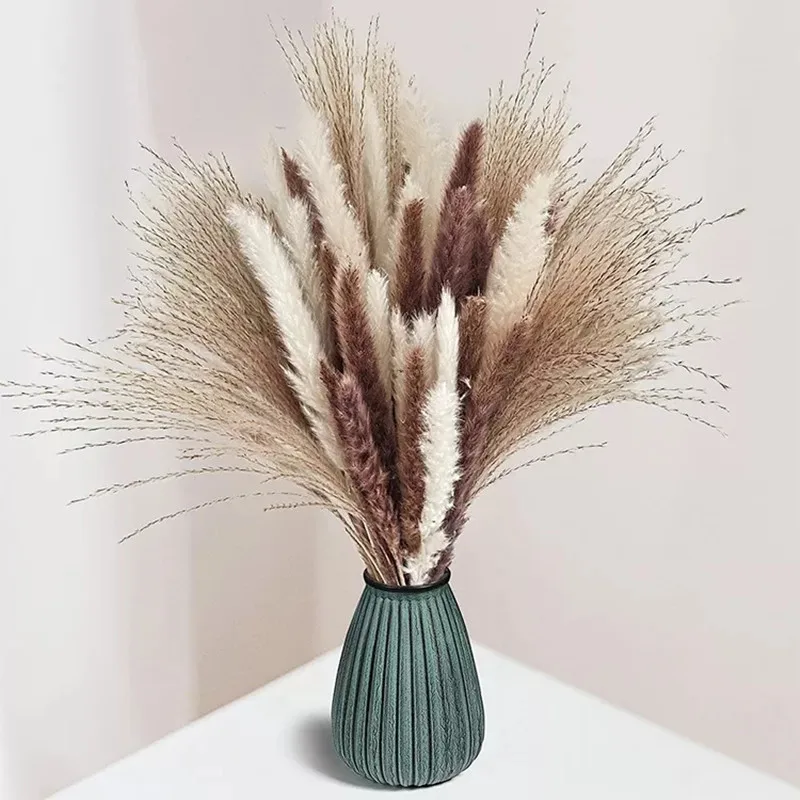 

Boho Home Decor 80Pcs/Lot Pampas Grass Set Fluffy Natural Living Room Decoration Dried Flowers Pantas Artificiales Para Bouquet