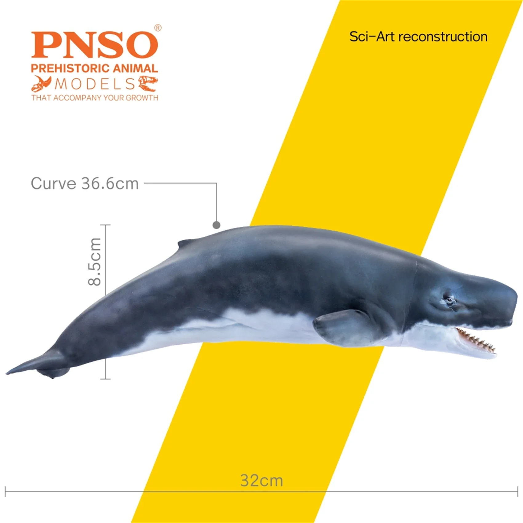 PNSO Prehistoric Dinosaur Model 56 Requena The Livyatan Collection Science Education Sperm Whale Animal Decoration Toys