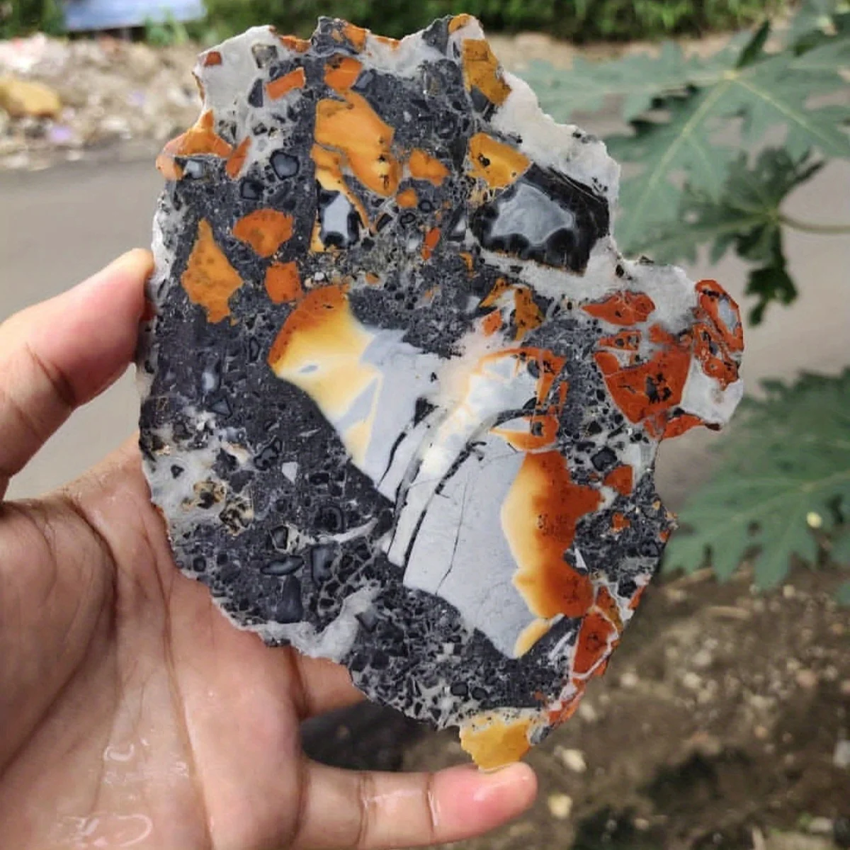 1pc Rare Maligano Jasper Artificial Crystal Slab with Intricate Swirl Patterns in Yellow, Black & White, Agate Slice
