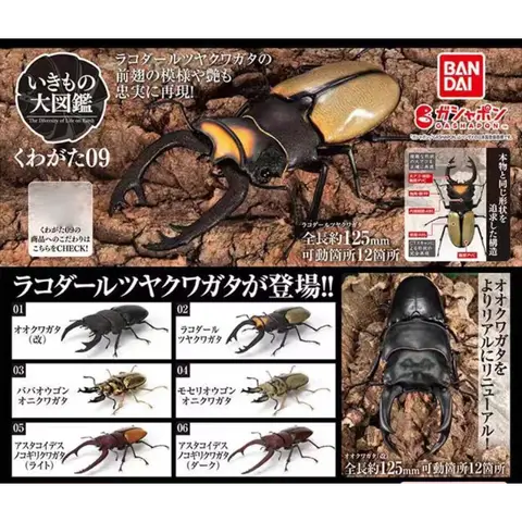 Bandai Original Gashapon Biological Encyclopedia Series Stag Beetle 09 - Golden Ghost/Two-Spotted Red Saw Stag Beetle Figure