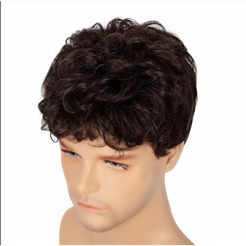 

Men's Short Hair Full Wig for Middle-aged and Elderly, Natural and Realistic, Breathable and Fluffy Short Curly Hair Full Wig
