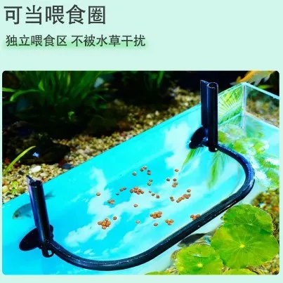 Feeding Duckweed Isolation Ring Aquatic Plant Seeds Ecological Micro Landscape Fish Tank Full Network Delivery ZR
