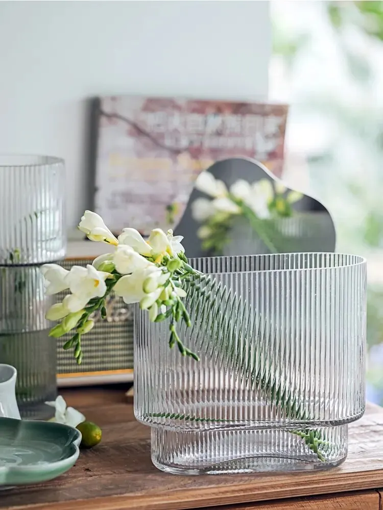 Light Luxury Transparent Glass Vase Home Decoration Flower Arrangement Desktop Hydroponic Large Diameter