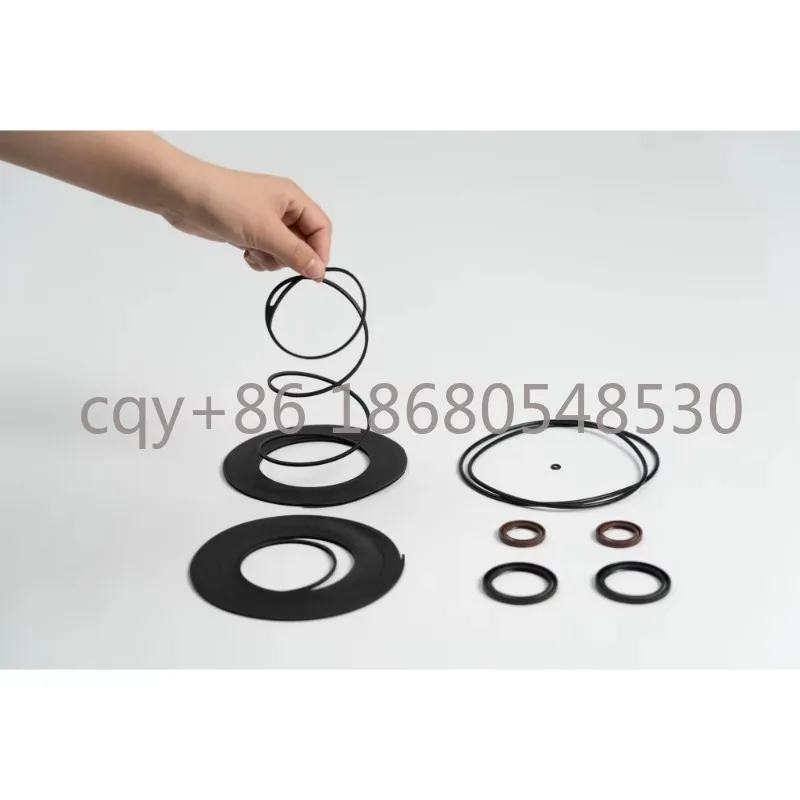 

SS For GWSP Series GWTSK1000 Super Wear-resistant Oil-free Vacuum Pump Clean and Quiet Tip Seal Kit