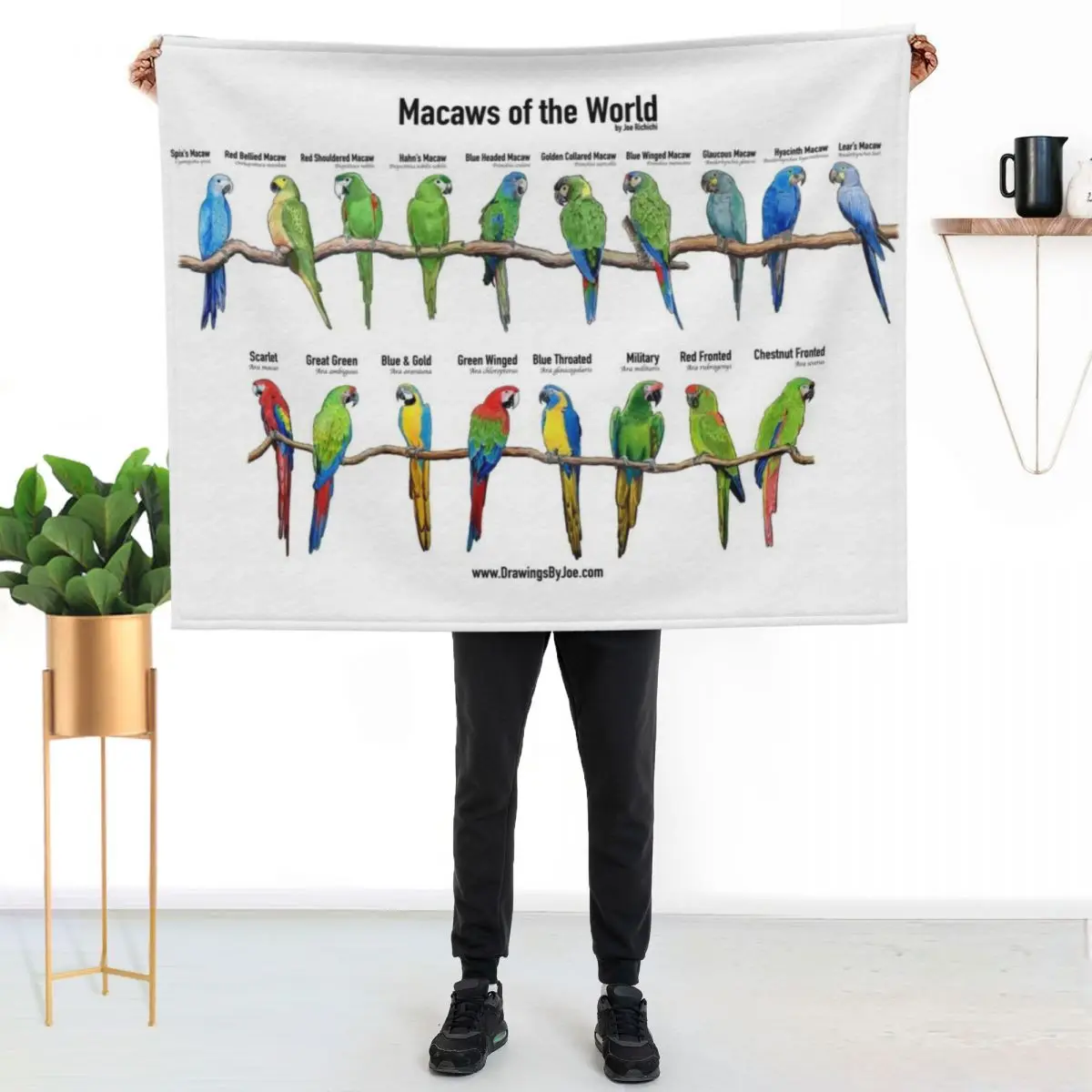 Macaws of the World Throw Blanket Thermal Multi-Purpose Blankets Sofas Of Decoration Stuffeds Quilt Summer Beddings Blankets