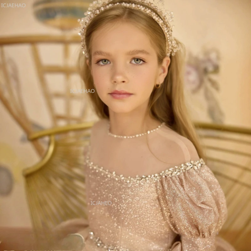

Kids Girls Flower Girl Wedding Dress Children Princess Pageant Formal Evening Wear Dresses Party Gown for Birthday Celebration