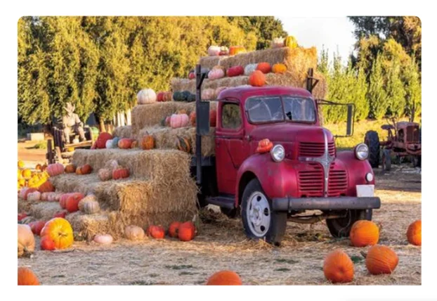 Pumpkin Autumn Truck Backdrops Photographic Haystack Outdoor Decoration Landscape Farm Natural Backgrounds Studio Photo Booth