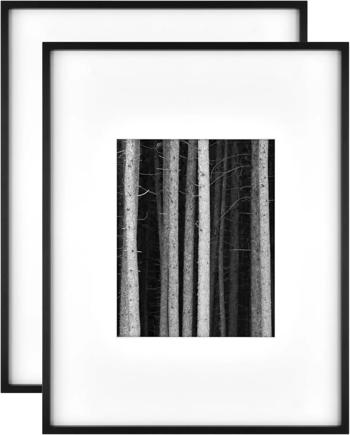 

Металлическая фоторамка 14x18 с passe-partout 8x10, черная, для вертикального/горизонтального крепления на стену (2 шт.)