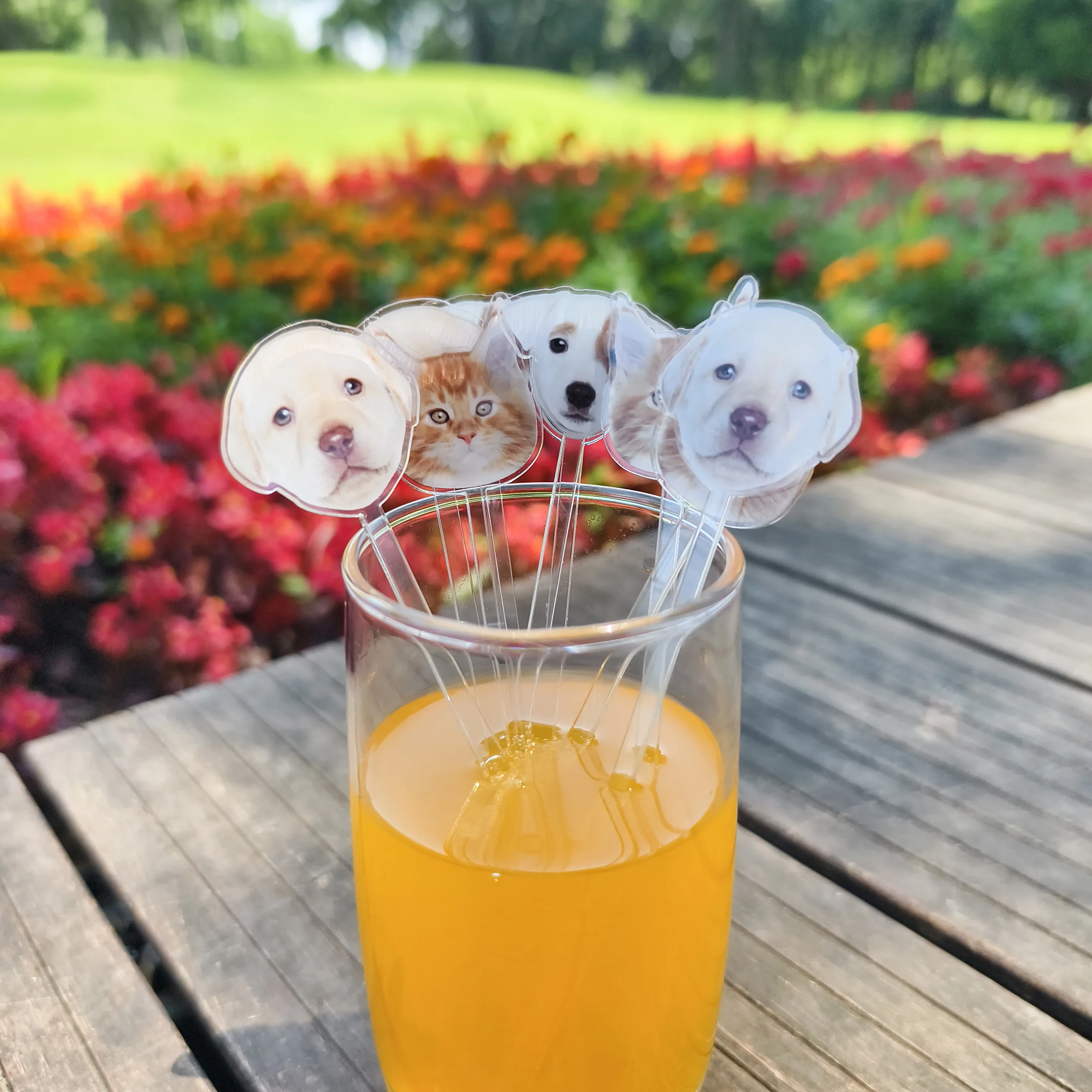 

Custom Pet Photo Cocktail Stirrers Party Cocktail Decorations Party Souvenirs Personalized Portrait Wedding Stirrers