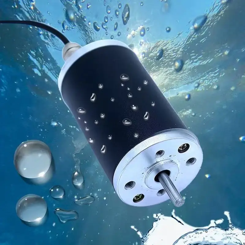 ZFY4578 Waterproof Brushed DC Motor 12V 24V High-Speed Forward/Reverse Underwater Motor
