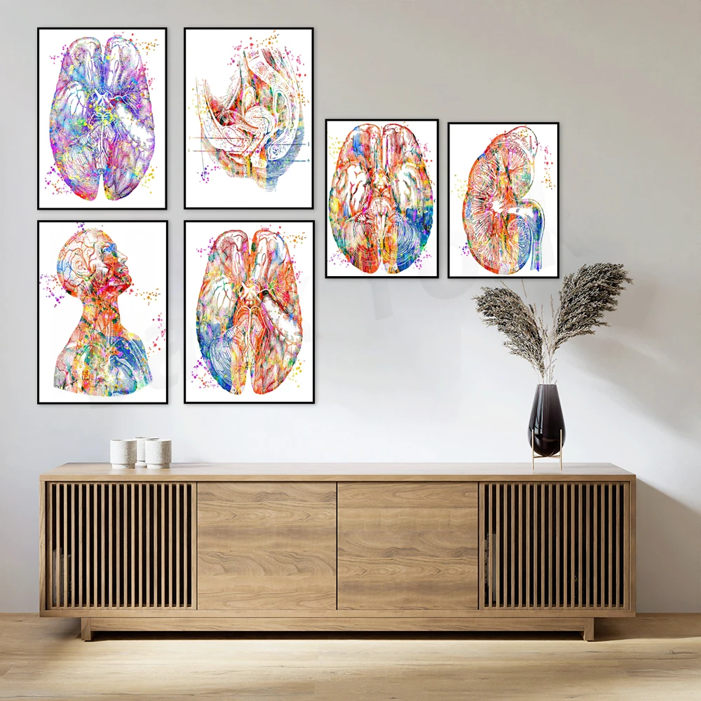 Skull Brain Art, Head Art,Female Art,Pelvis Art,Eye Art Print Abstract Medical Art work Medical Art Prints Gift, Office decor