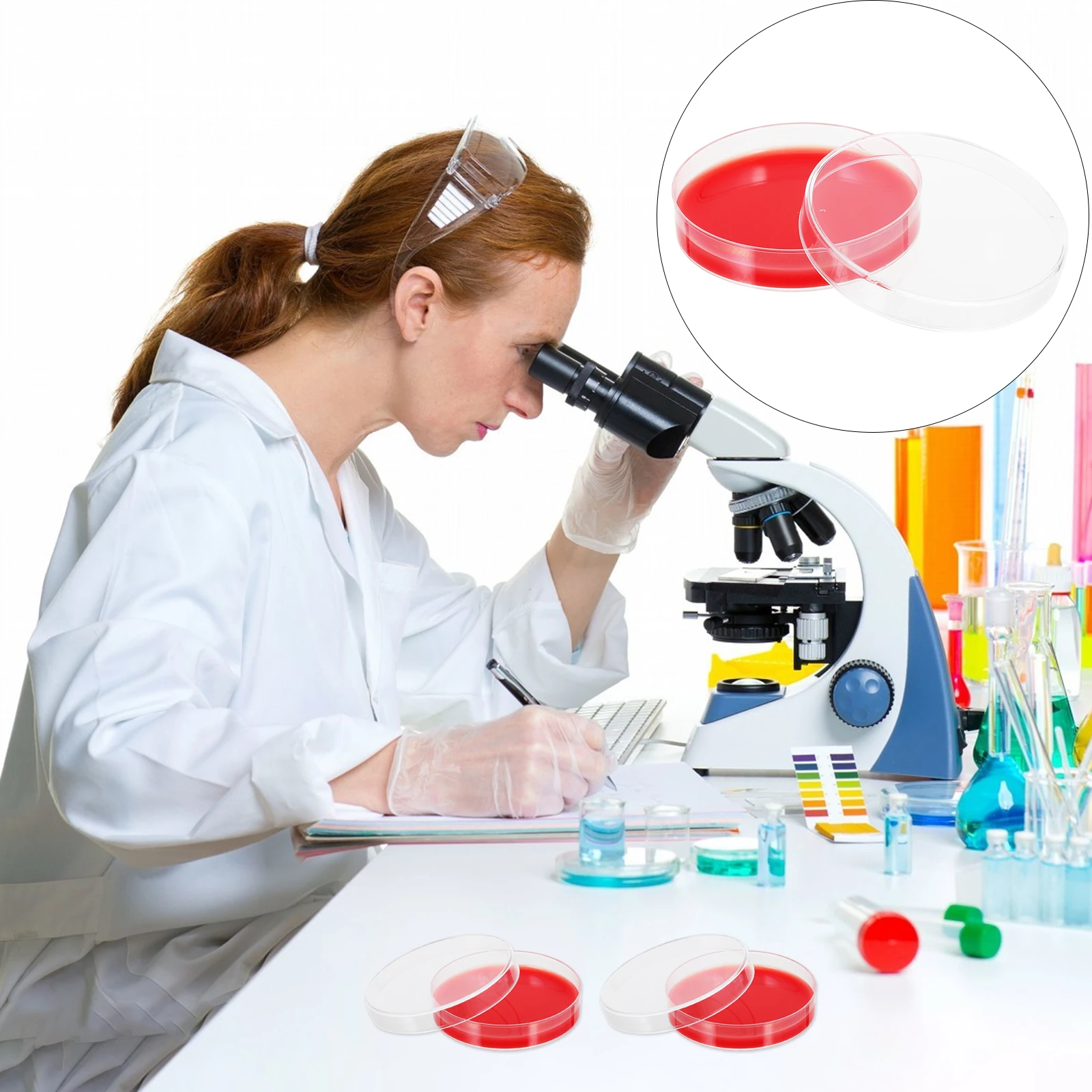 

10 Pcs Blood Agar Medium Laboratory Science Experiment Plates Petri Dish