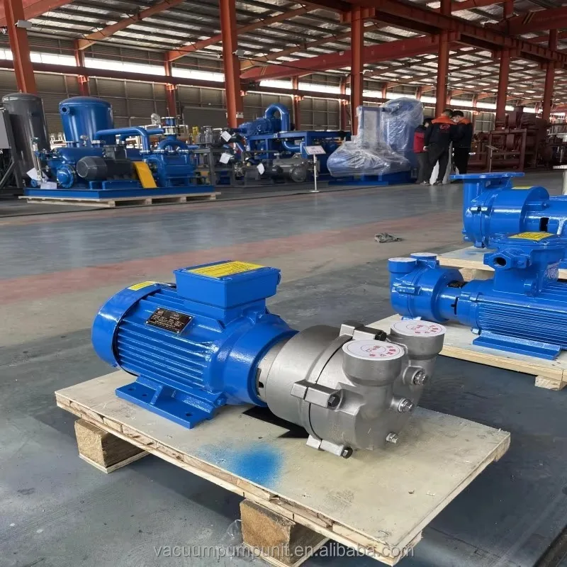 2BV 2060 Marine Single-Stage Electric Low Pressure Water Ring Vacuum Pump Clean Water Automotive Industry Stainless